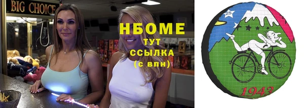 мет Алексин